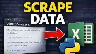 Scrape Any Website to Excel Using Python (Beginner)