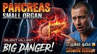 E1.Pancreas Anatomy  الوصف التشريحى والفسيولوجى واهمية البنكرياس