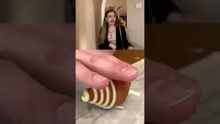 #история