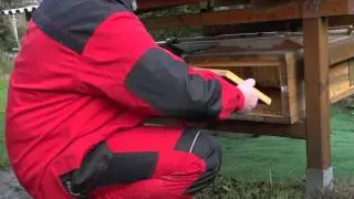 Bienen-Durchsicht Februar 2016