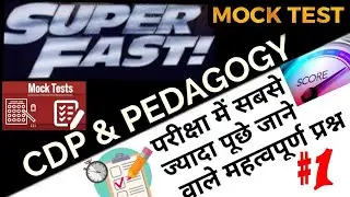CDP Questions for CTET | CDP Mock Test | Mock Test CDP | Mock Test for MPTET, TET, DSSSB, KVS, UPTET