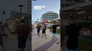 Сонячний Берег. 16.08.2024.