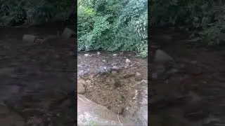 Yurij. Kherson - Odessa.  в прямом эфире!