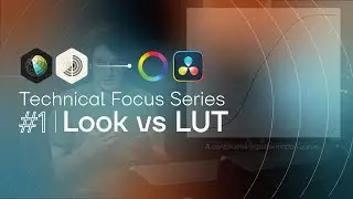 HAL Picture | Technical Focus Series | #1 Looks vs LUTS - Let's clarify the confusion
