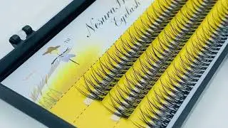 NesuraBeauty Swallowtail 20D 12mm 2H