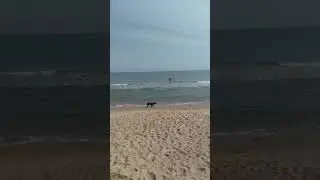 Ловля камбалы с берега Черное море