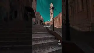 ٢١ مايو ٢٠٢٤(3)