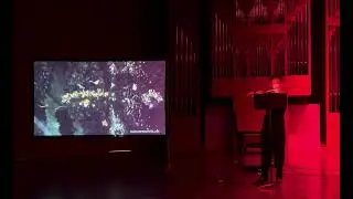 Danza de la Mariposa by Valerie Coleman