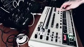 Happy 909 day