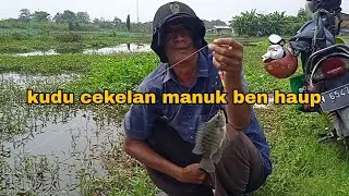 mancing di rawa2 borgas sidoarjo