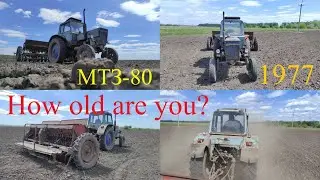 МТЗ-80 !!!1977!!! How old are you?