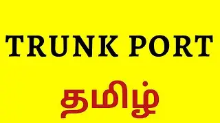 TRUNK PORT in TAMIL || Explained Concept & Configuration || CCNA Tamil