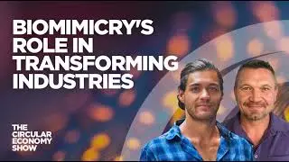 Biomimicry's role in transforming industries | The origins of the circular economy