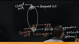 Sexual reproduction of flowering plants | Lecture -08 Class - NEET TARGET Hindi