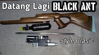 BLACK ANT - UNBOXING
