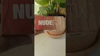*ALL NEW* Nudestix Minis🤩 || Roses & Honey Nudes 🌹🍯 ||Everyday Makeup Kit❤️    