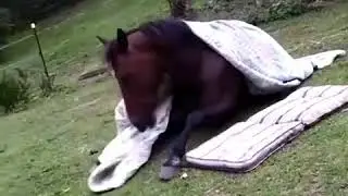 Спокойной ночи