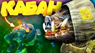 ПОЧЕМУ ВОЛК СГОРАЕТ НА КОСТРЕ? | STALKER ТЕНЬ ЧЕРНОБЫЛЯ