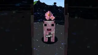 Minecraft, But I Have Immortality...