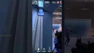 Lil Bros Lost 