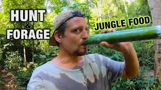 Eating WILD Rodents & Jungle Plants | Surviving with the Hmong Tribal People (2/4)