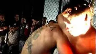 Badass Felony Fights