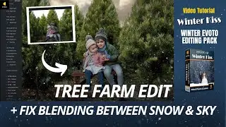 Winter Kiss Editing in Evoto Tutorial: Tree Farm Edit With Snow And Sky Fixing Issues
