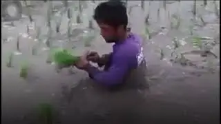 Nagimas iti agraep nu kasla kadatoy 🤣🤣🤣