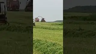 Сенаж в Беларуси #агроном #корма #farming