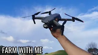 Replaced My SheepDog With A Drone?! - Herding Sheep and Cattle with a Flying Dog -