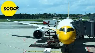 [Flight-Report] SCOOT AIRLINES | Singapore SIN ✈ Bali DPS | Boeing 787-8 | Premium Economy Take Off