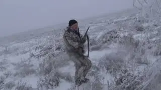 Заяц за четыре минуты. 18.12.2021г.