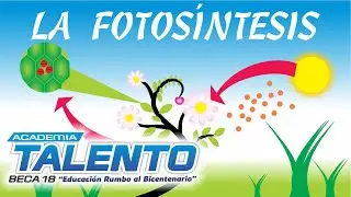La fotosíntesis