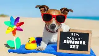 New School - SUMMER SET (OLDSKOOL REMIXES)