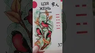 Расклад:Что ждет СКОРПИОНОВ в июле?(гороскоп)🌹+79188976803