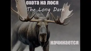 The Long Dark * ( TALES FROM THE FAR TERRITORY) Брошенный аэродром * Охота на лося 2 ( подготовка)