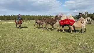 26 мая 2023 г.