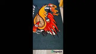 Real Quality Video Of Area rug