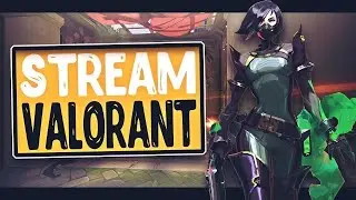 VALORANT | Первый раз в игре. Что это за зверь?
