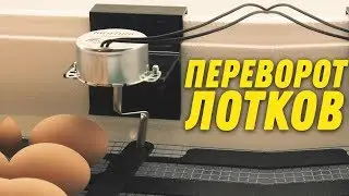 ШКОЛА ИНКУБАТОРОСТРОЕНИЯ №12  [ АВТОМАТИЧЕСКИЙ ПОВОРОТ ЛОТКОВ \ ЯИЦ! СХЕМА ПОДКЛЮЧЕНИЯ ​]