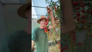 Утро выходного в Деревне 🏡