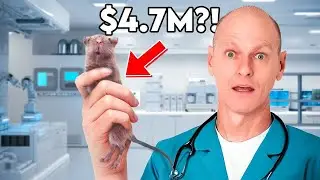 This Mouse Business Generates $4.7 Million