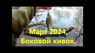 Боковой кивок  Март 2024   Уводь