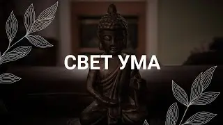 LIGHT OF THE MIND / Meditation