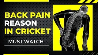 Are you a young fast bowler? Do you have lower back pain? | Back Pain Reason | @KdEvolution