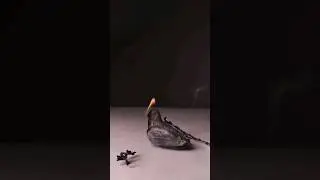 Вафельная бумага и огонь #chocolate #голубь #fire