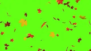 Falling leaves green screen