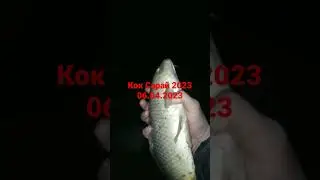 Коксарай Рыбалка