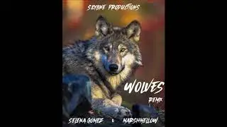 Selena Gomez, Marshmello - Wolves Remix