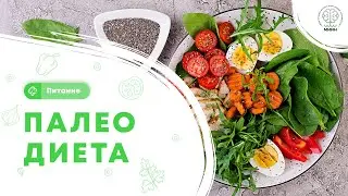 Питание || Палеотическая диета. Палео диета.